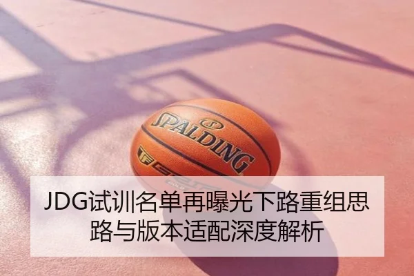JDG试训名单再曝光下路重组思路与版本适配深度解析